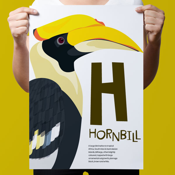 Animal A-Z Book and Posters - Sam Osborne - Illustration & Design