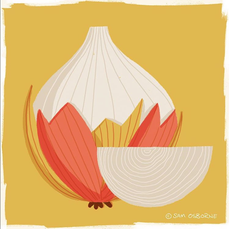 Sam Osborne Illustration Inspiration Onion