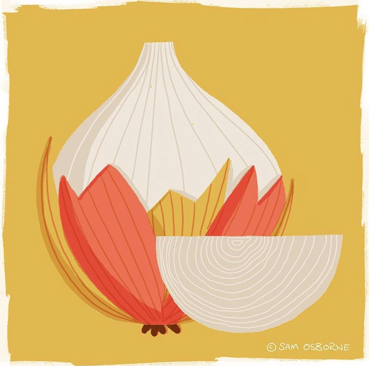 Sam Osborne Illustration Inspiration Onion