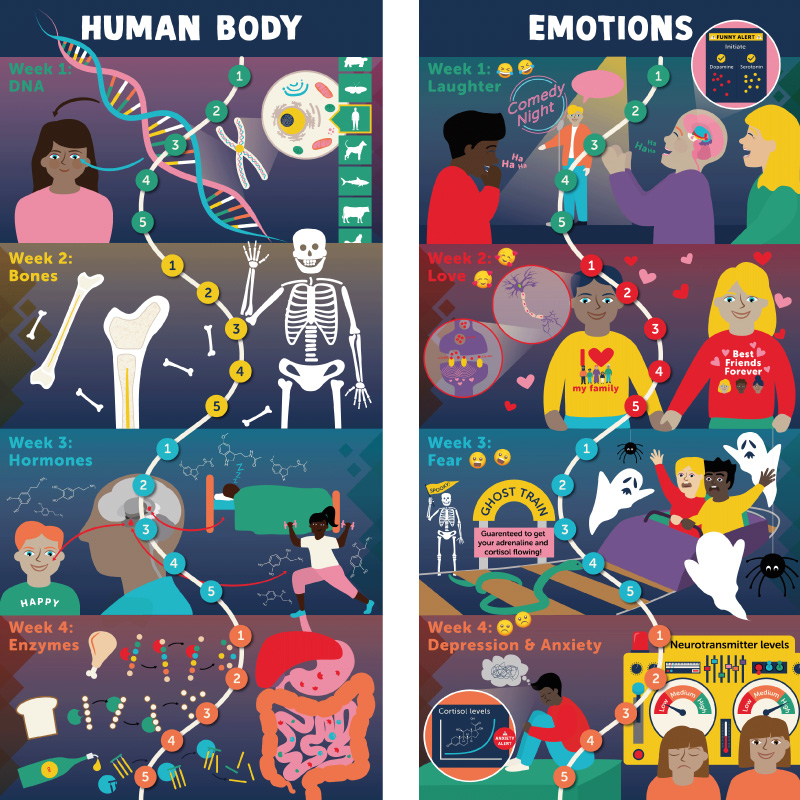 Science Illustrations Human Body Emotions
